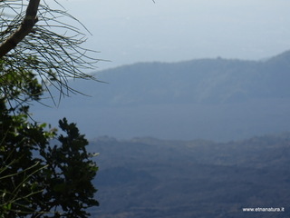 nte Rinatu-15-09-2019 11-02-50